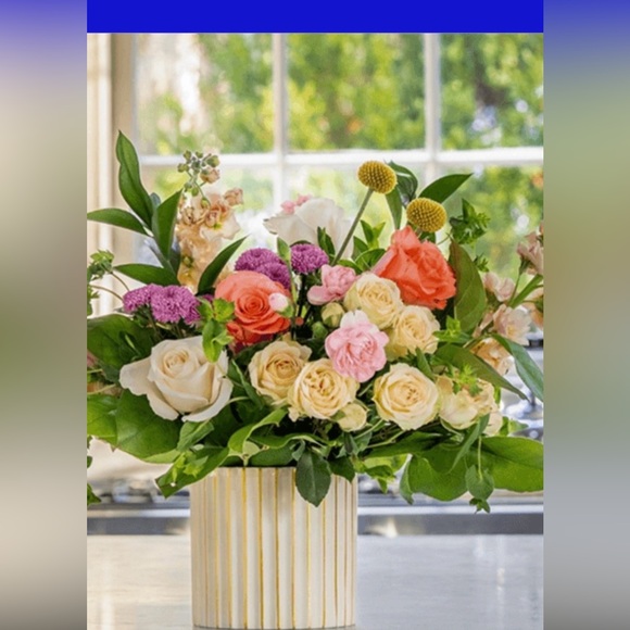 taylor_shop345
